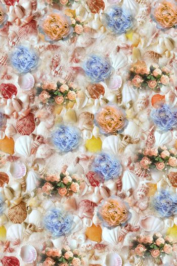 529683-欧式风格  时尚  贝壳  花卉 