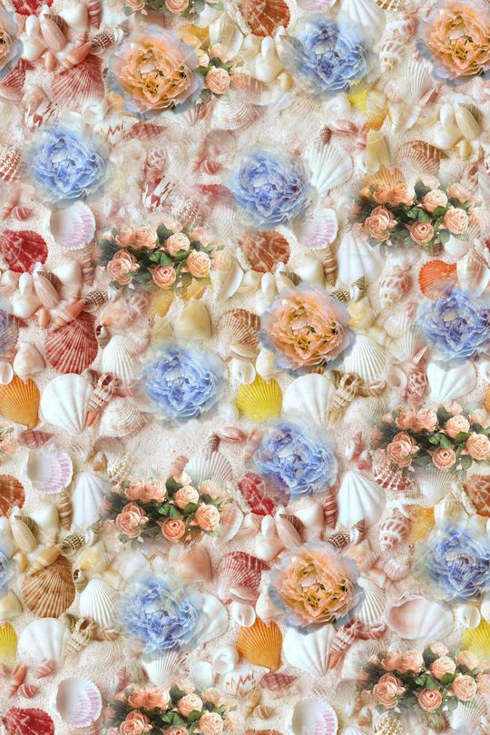 贝壳印花华亿平台图片