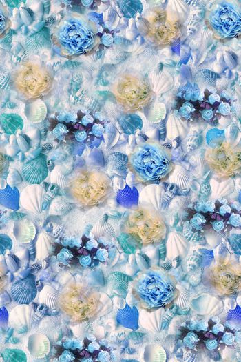 529686-欧式时尚贝壳花卉