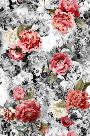 529741-花卉    玫瑰   郁金香