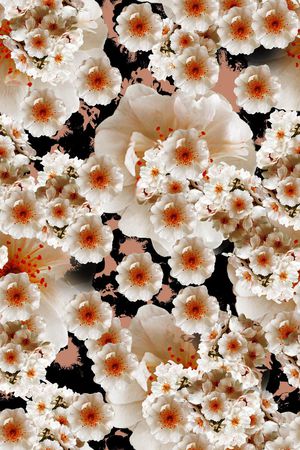 原创摄影印花华亿平台图片