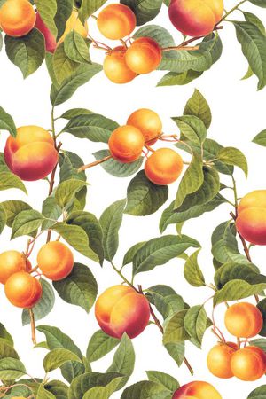 创意服装面料印花华亿平台图片