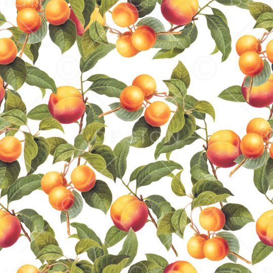 创意服装面料印花华亿平台图片