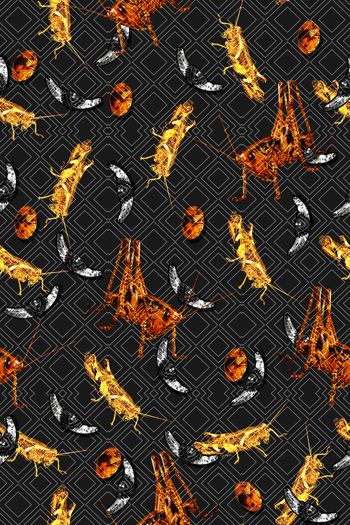 昆虫印花华亿平台图片