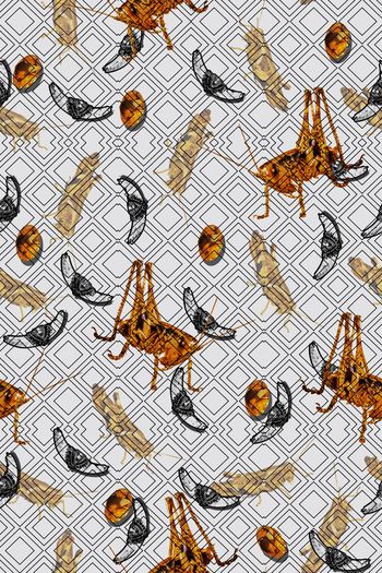 530275-金属感昆虫几何珠宝图案1029