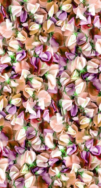 530399-时尚潮流 写实花瓣组合 服装 丝巾