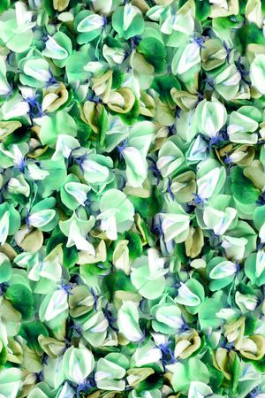 服装印花华亿平台图片