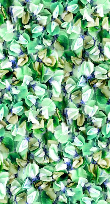 530400-时尚潮流 写实花瓣组合 服装 丝巾