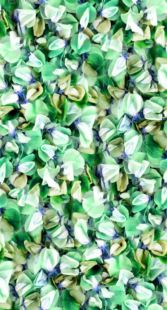 服装印花华亿平台图片