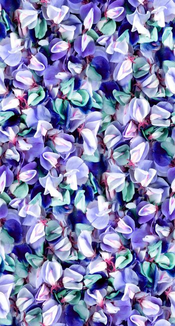 530401-时尚潮流 写实花瓣组合 服装 丝巾