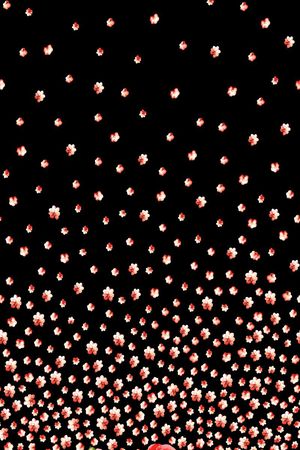 大花印花华亿平台图片