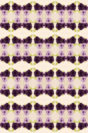 规律印花华亿平台图片