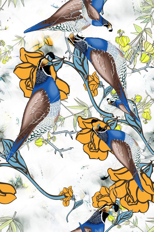 鸟语花香印花华亿平台图片