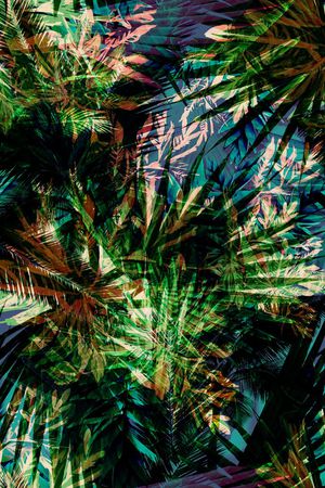 热带植物印花华亿平台图片