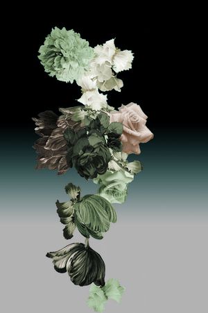 欧美印花华亿平台图片