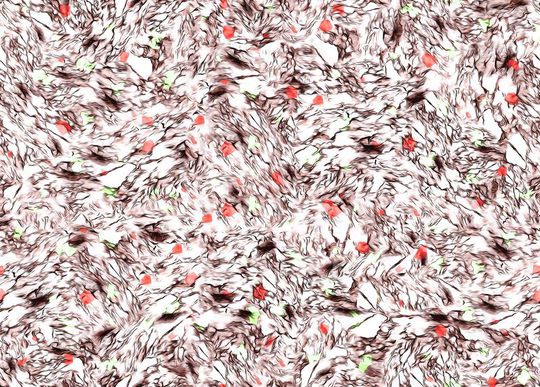 欧美印花华亿平台图片