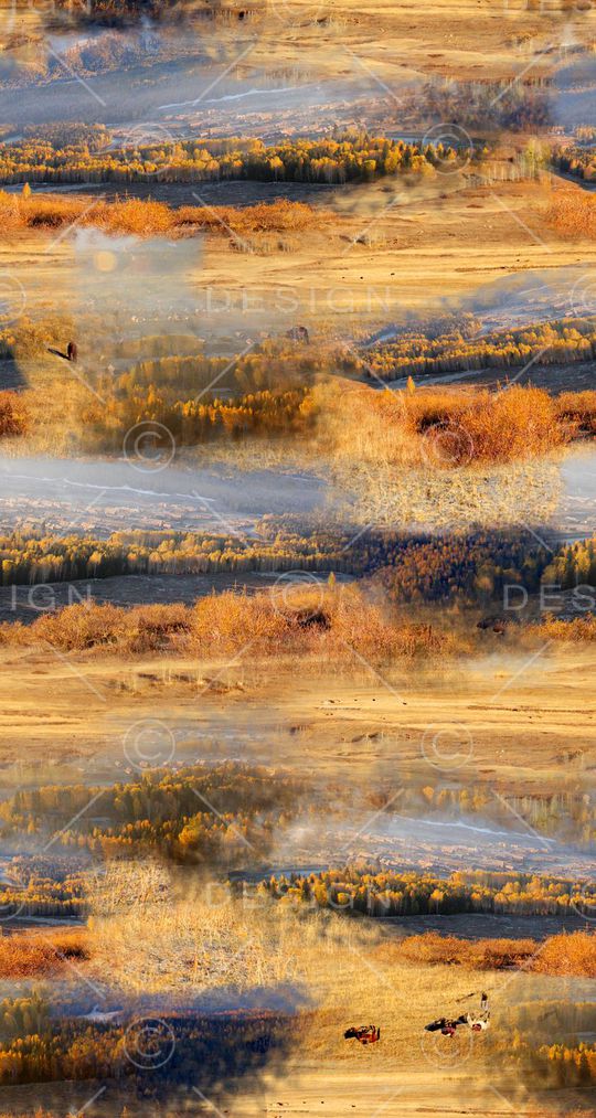 胡杨林印花华亿平台图片