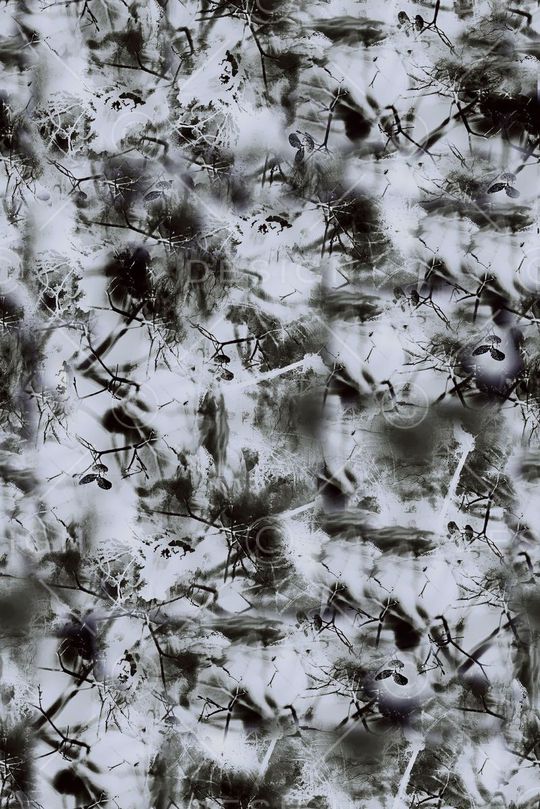 时尚大牌欧美风格印花华亿平台图片