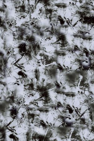 时尚大牌欧美风格印花华亿平台图片