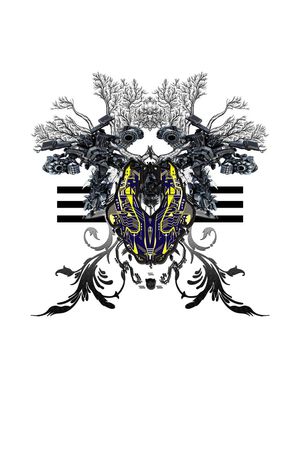 变型金刚印花华亿平台图片