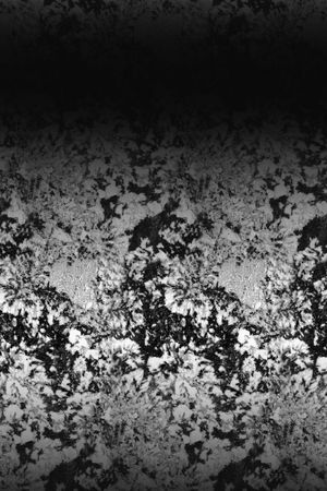 夹克印花华亿平台图片