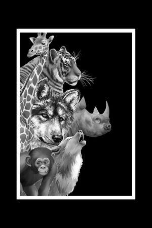 时尚潮流印花华亿平台图片