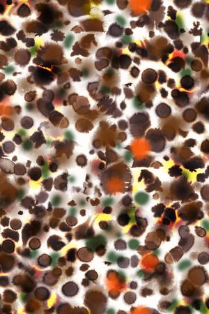 波点印花华亿平台图片