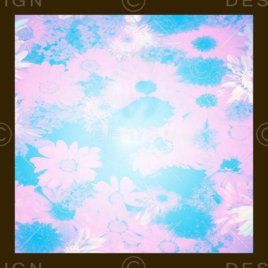 菊花印花华亿平台图片