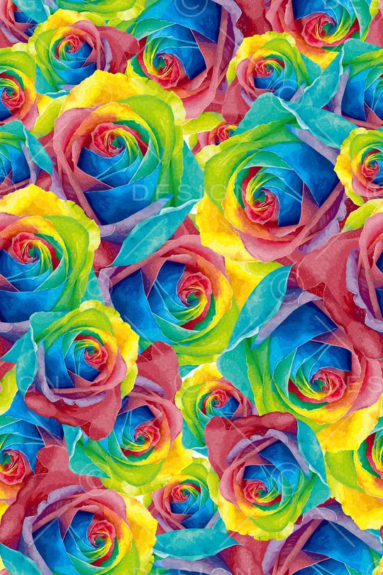 玫瑰花印花华亿平台图片