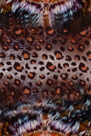 动物纹印花华亿平台图片