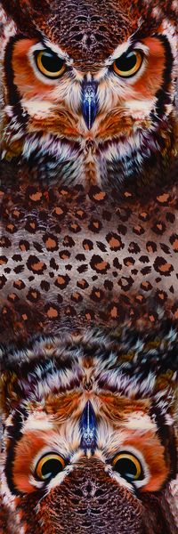 动物纹印花华亿平台图片