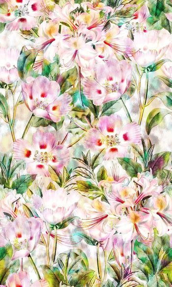 531519-星光数码幻彩花卉植物春夏必备