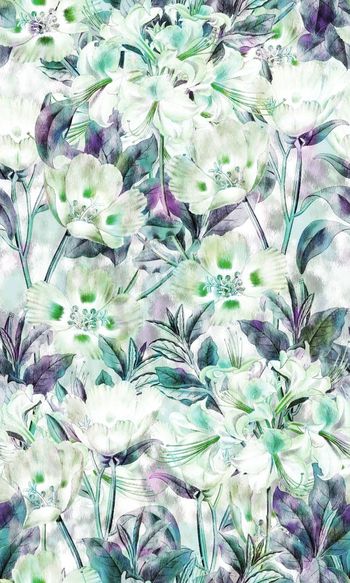 531520-星光数码幻彩花卉植物春夏必备