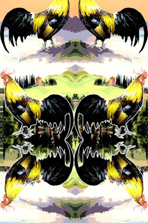 时尚定位印花华亿平台图片