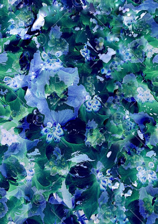 时尚潮流休闲印花华亿平台图片