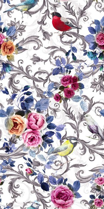 531672-花卉    卷尾草  鸟