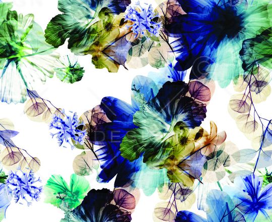 反色印花华亿平台图片