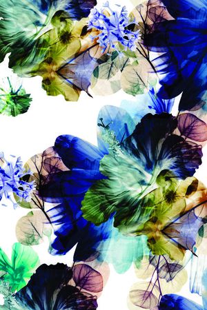 反色印花华亿平台图片