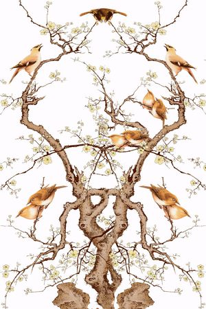 中国风  花鸟画 窗帘 服装 丝巾印花华亿平台图片