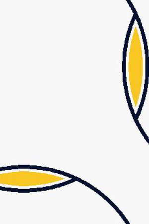 男装印花华亿平台图片