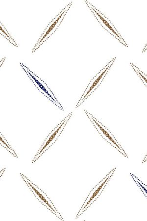 男装印花华亿平台图片