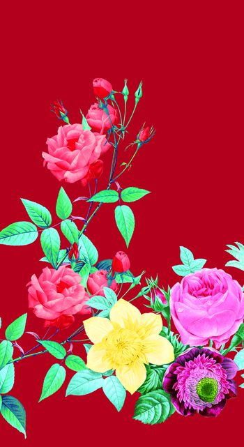 532213-定位手绘大花玫瑰