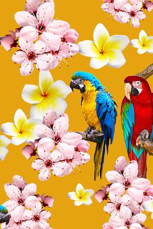 长巾华亿平台印花华亿平台图片