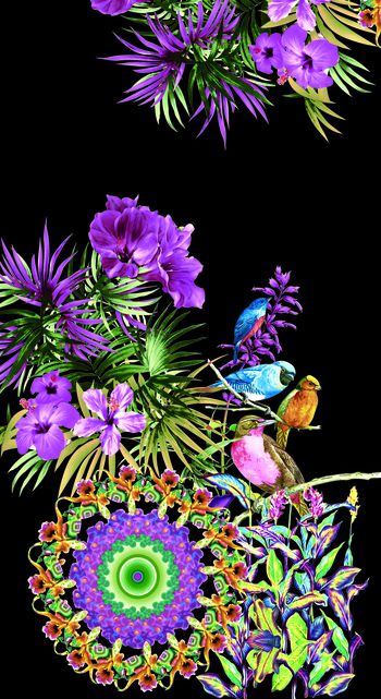 532237-定位花鸟图案