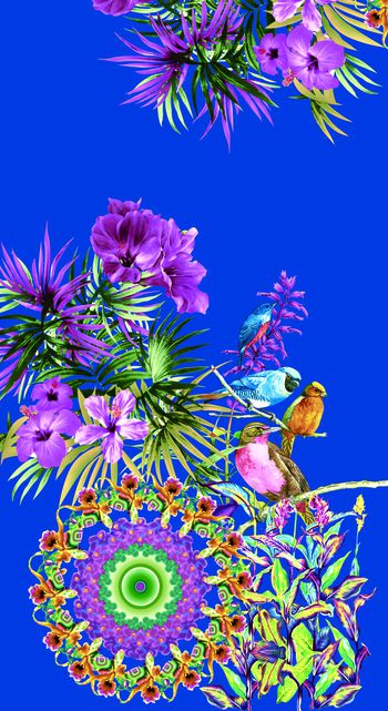 532239-定位花鸟图案