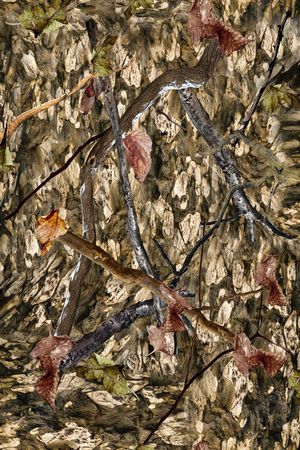 户外迷彩印花华亿平台图片