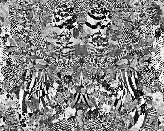 丛林感花卉印花华亿平台图片