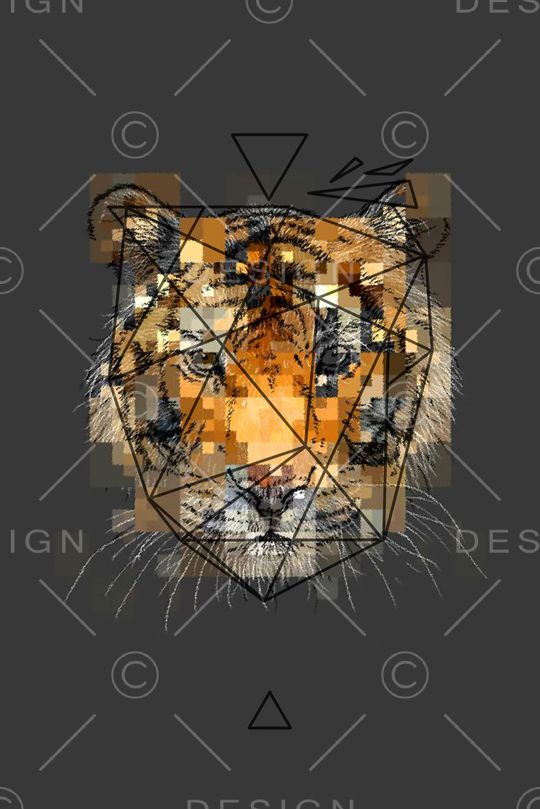 老虎印花华亿平台图片