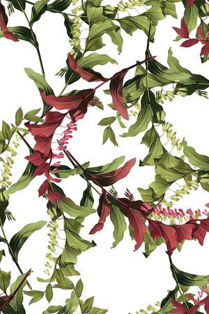 欧式印花华亿平台图片