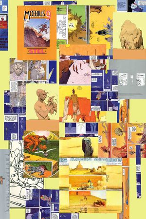 大花印花华亿平台图片